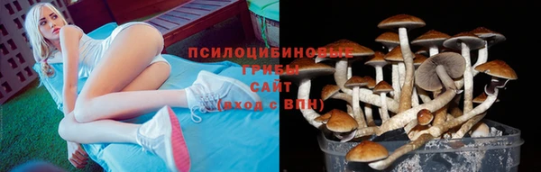 кокс Приозерск
