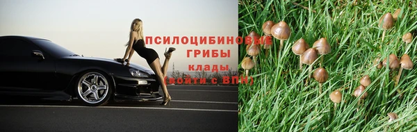 2c-b Абинск