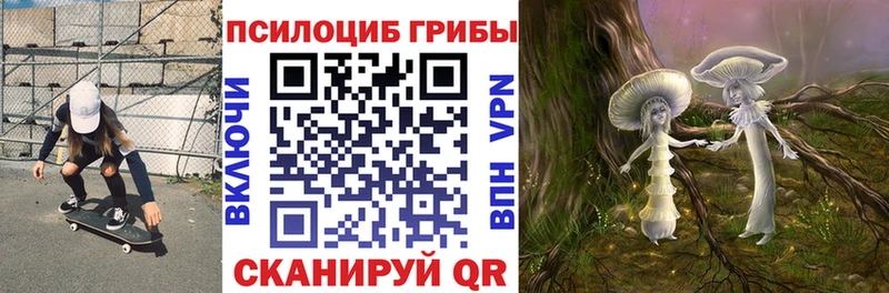 где купить наркотик  Александровск-Сахалинский  Галлюциногенные грибы Magic Shrooms 